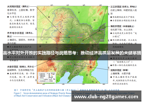 高水平对外开放的实践路径与战略思考：推动经济高质量发展的关键举措