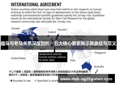 魔鸟与老马关系深度剖析：五大核心要素揭示其象征与意义